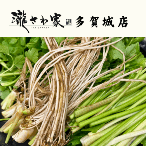 秋田三関セリを使った瀧さわ家冬季限定セリ鍋